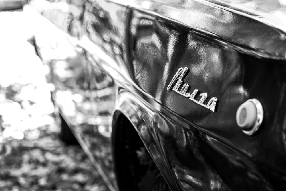 Photograph by Елена Кудейкина