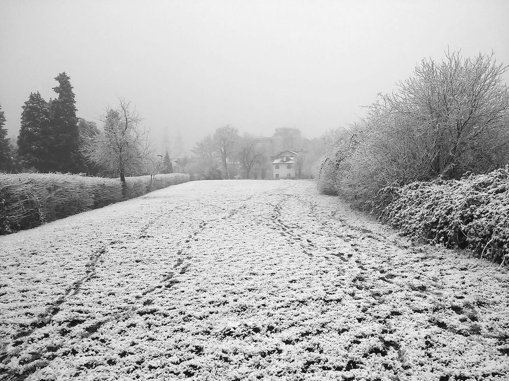 Photograph by Jasna Dragun