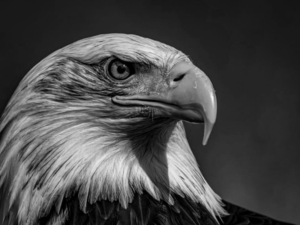 Photograph by Angie Odeh