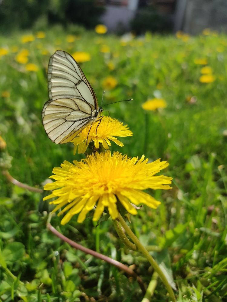 Photograph by Анна Слепенко