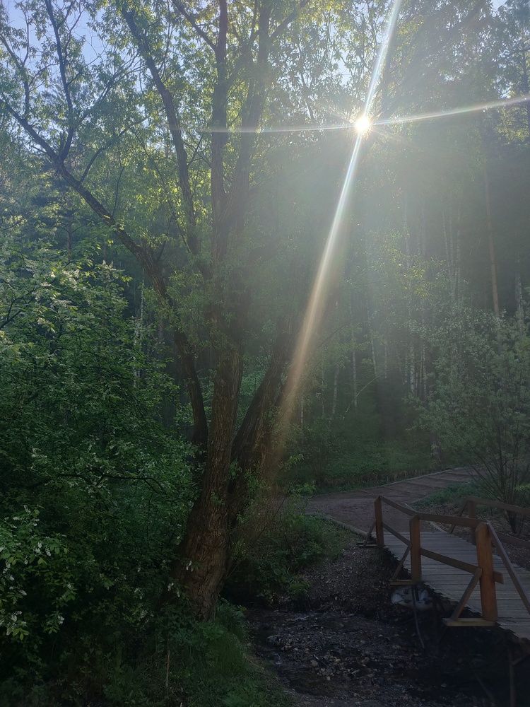 Photograph by Анна Слепенко