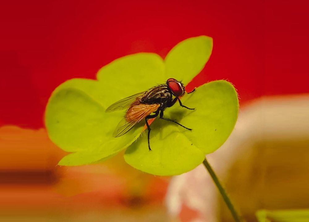 Photograph by Gargi Chatterjee