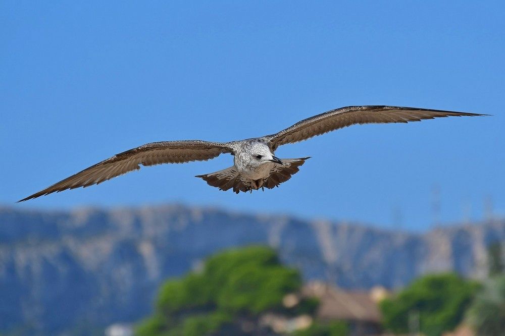 Photograph by Корнейчук Игорь