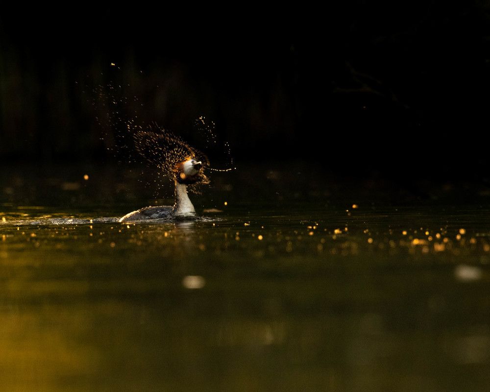 Photograph by prasanth muralidharan