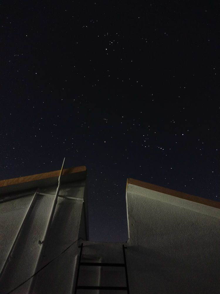 Photo #7695303