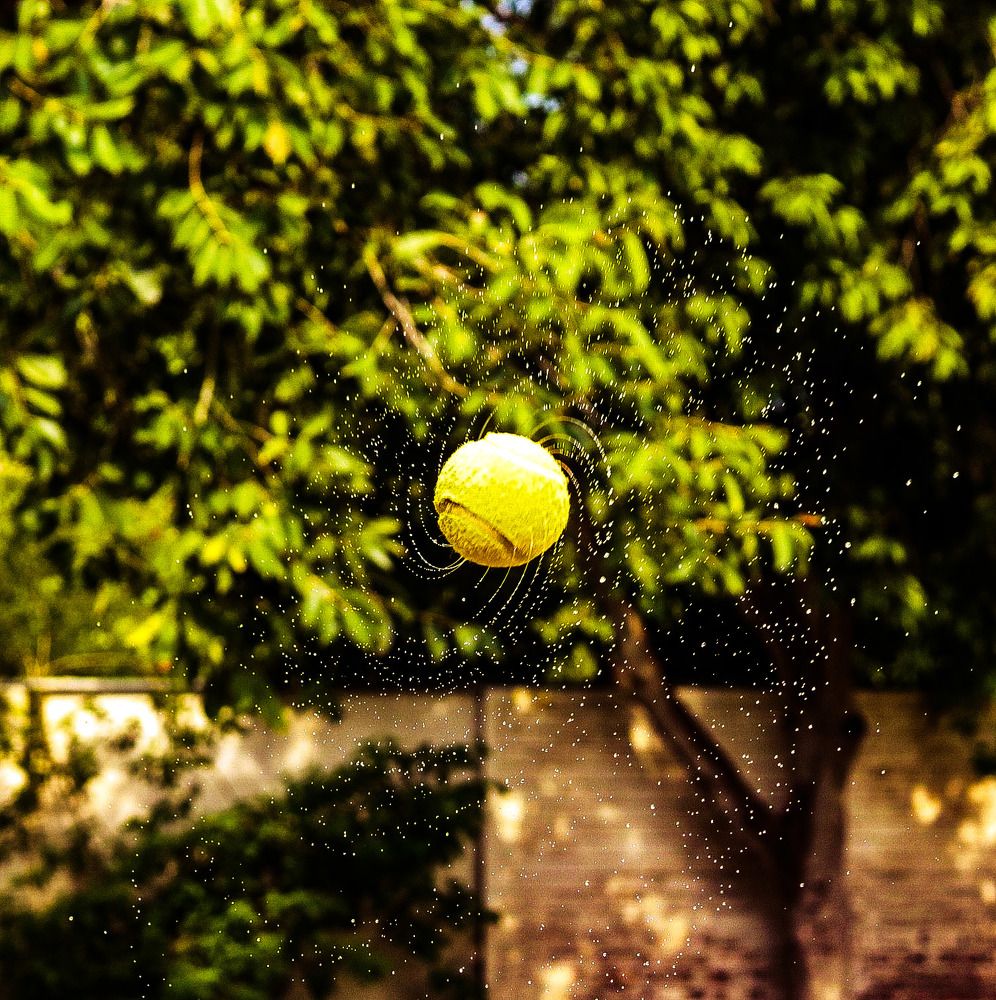 Photograph by Muhammad Talha Khan 255