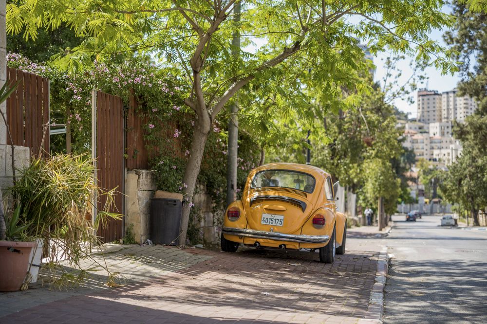 Photograph by Антон Шаркас