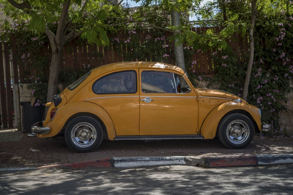 Photograph by Антон Шаркас