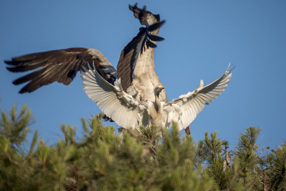 Photograph by Антон Шаркас