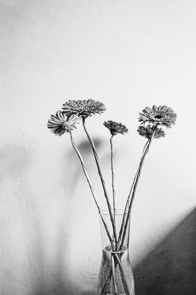 Photograph by Елена Кудейкина