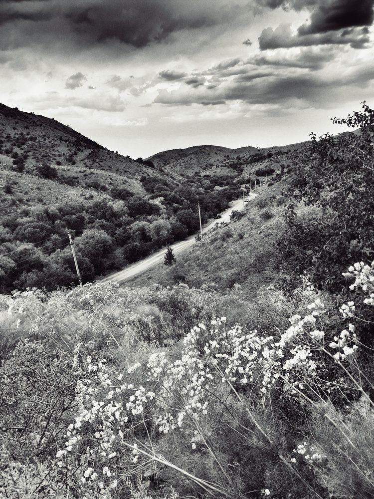 Photograph by Наталья