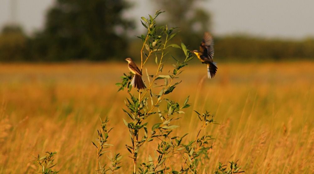 Photograph by Наталья Селиванова