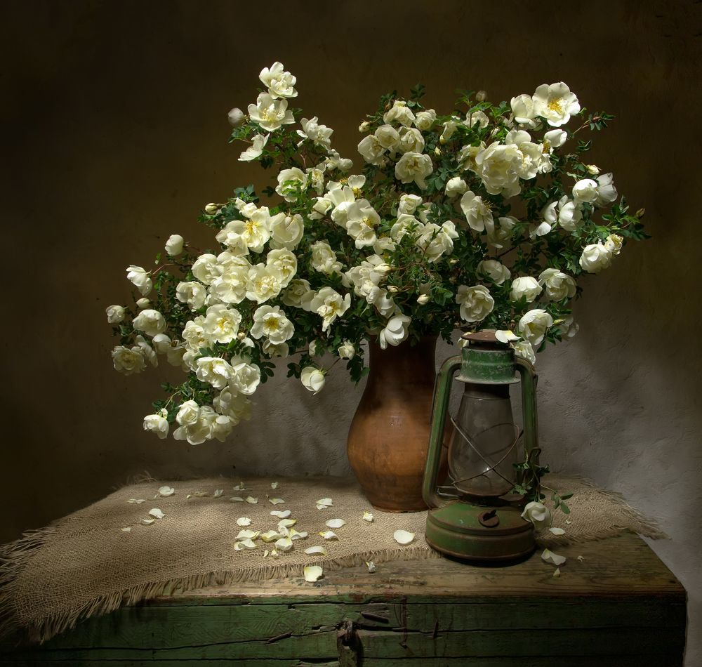 Photograph by 