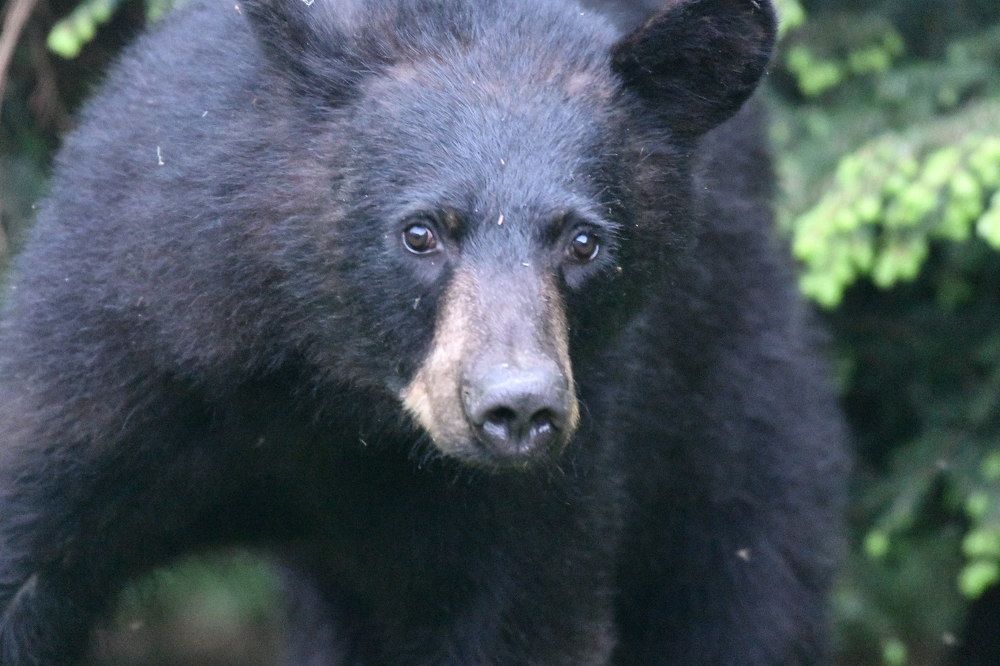 Photograph by Curt Whiteway