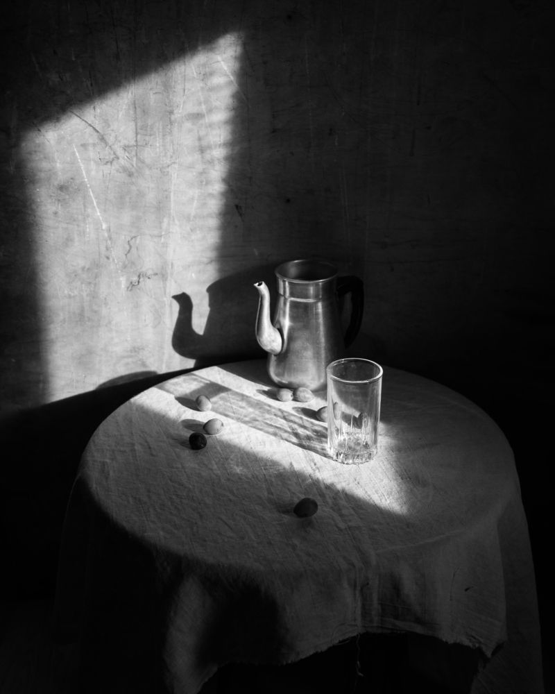 Фотография автора Елена Хазина