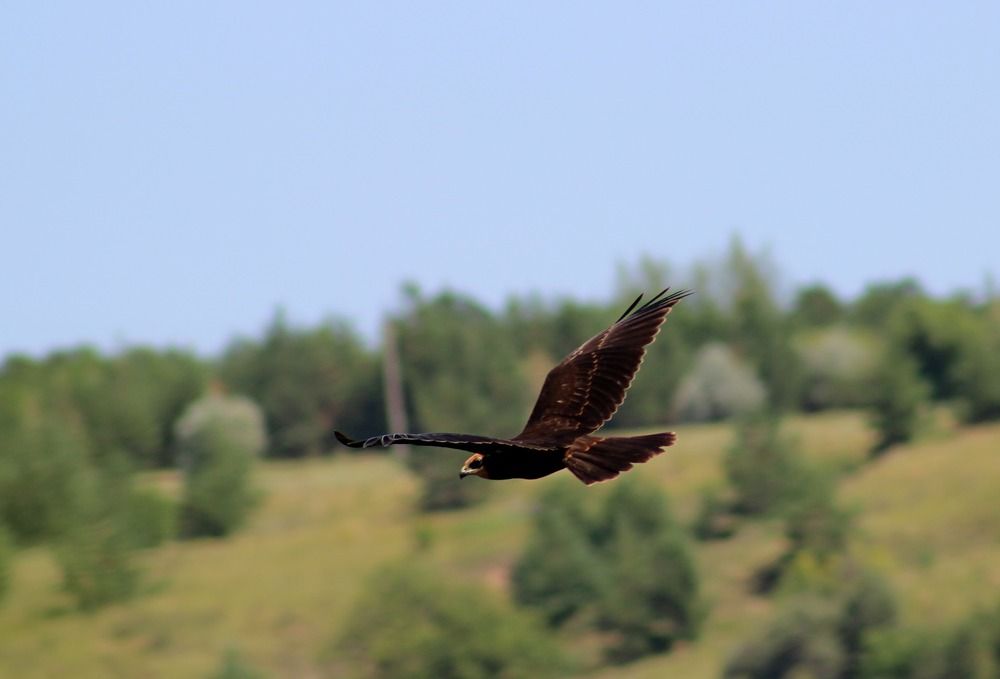 Photograph by Наталья Селиванова