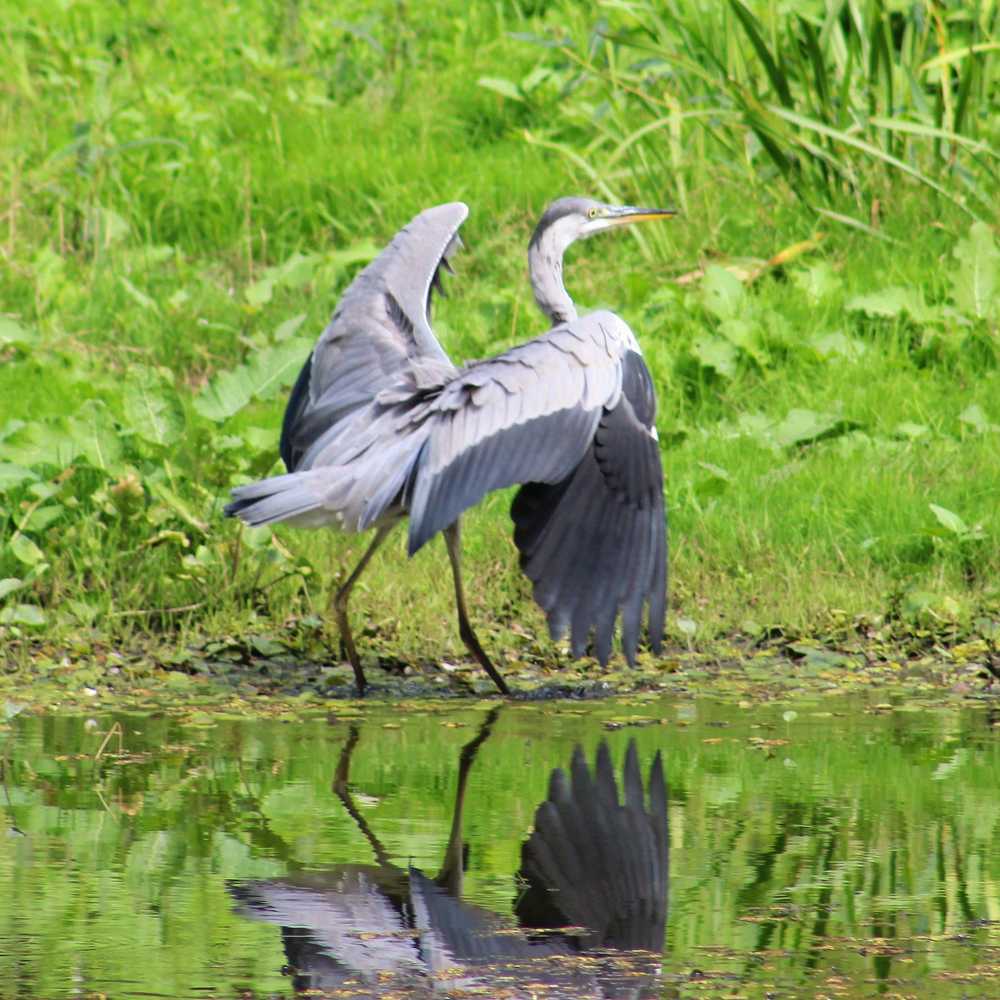 Photograph by Наталья Селиванова