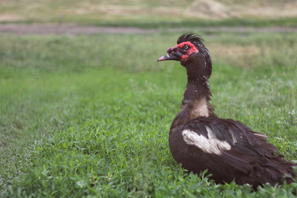Photograph by Татьяна Аршинова