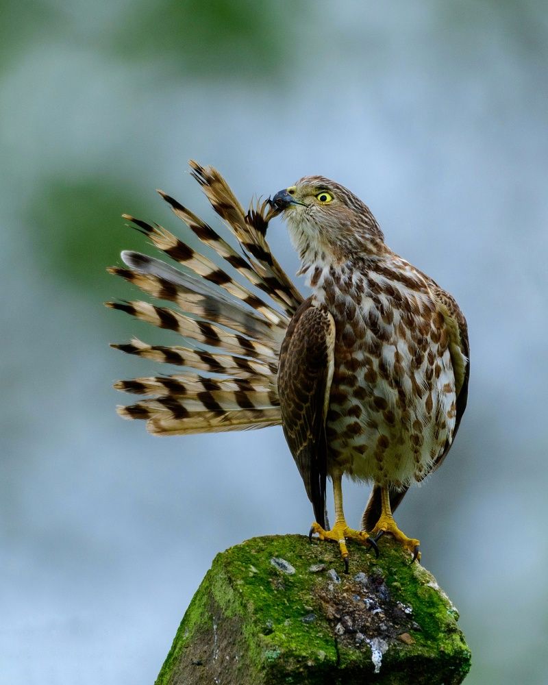 Photograph by sujeesh p sujeesh puthanveettil