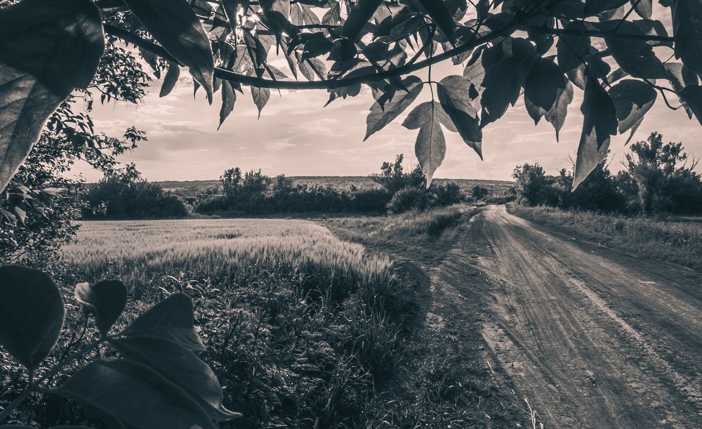 Photograph by Дмитрий Головко