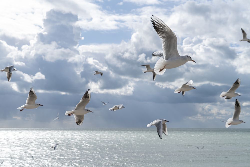 Photograph by Роман Надточий