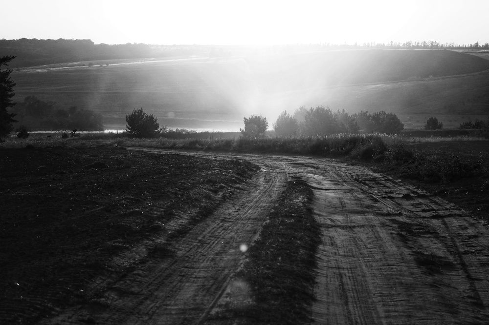 Photograph by Наталья Селиванова