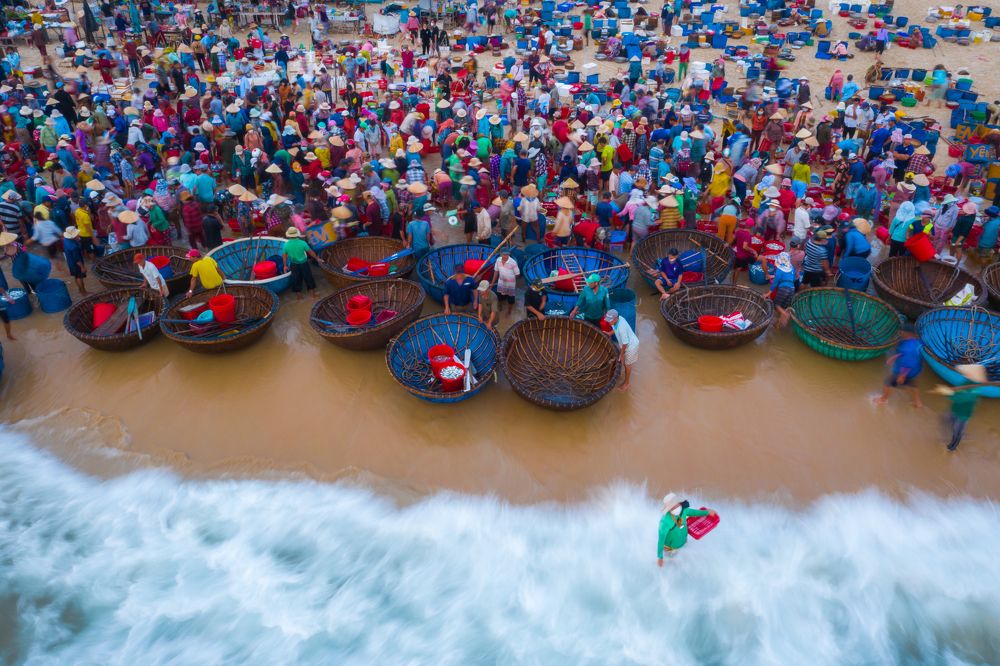 The color of a fish market