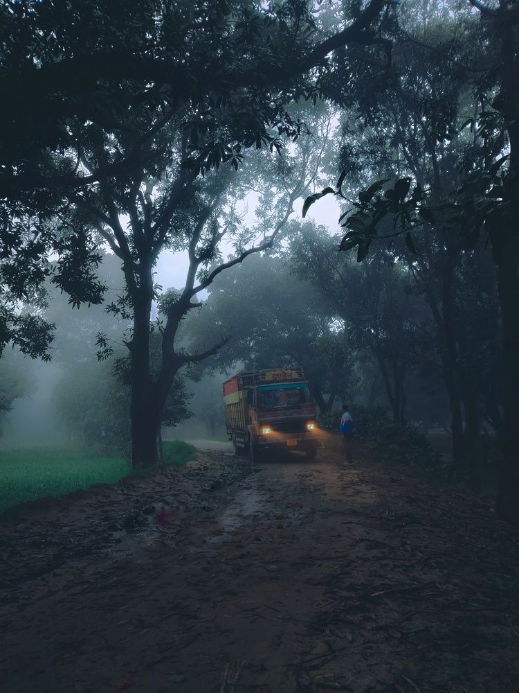 Photograph by Mohammad Ashyam