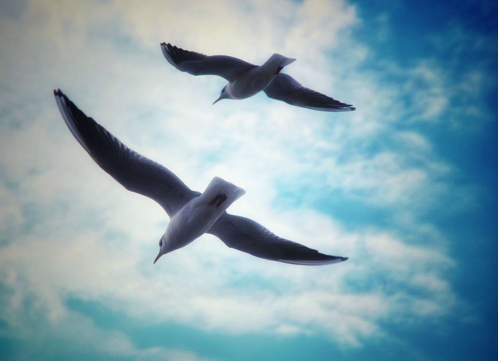 Photograph by Михаил Саидов