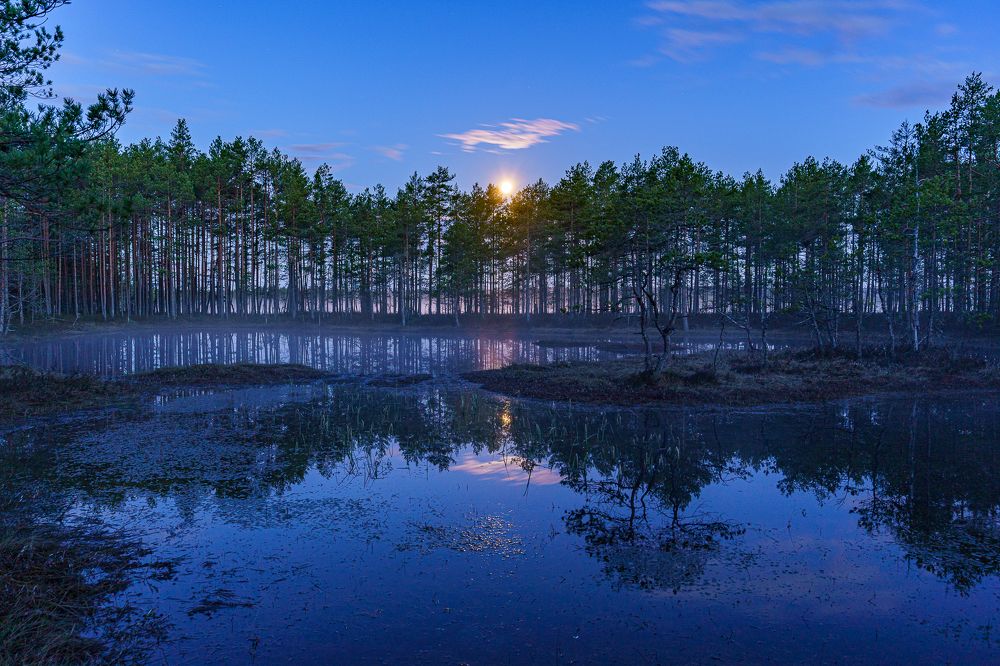 Photograph by NINA OVCHINNIKOVA