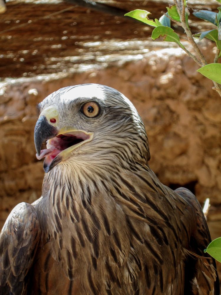 Photograph by abd alghani