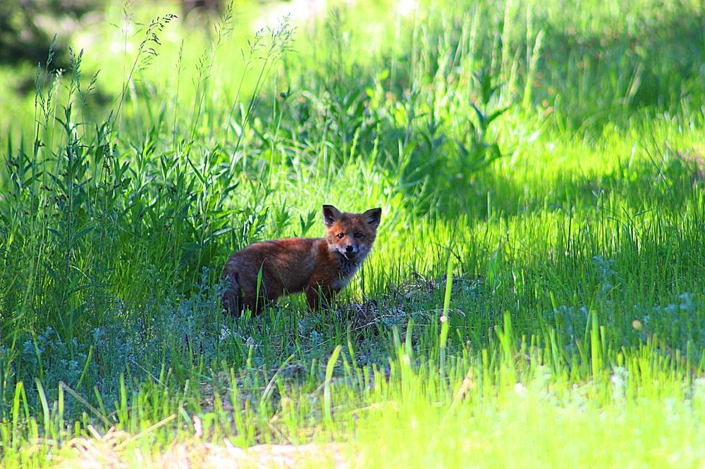 Photograph by Наталья Селиванова