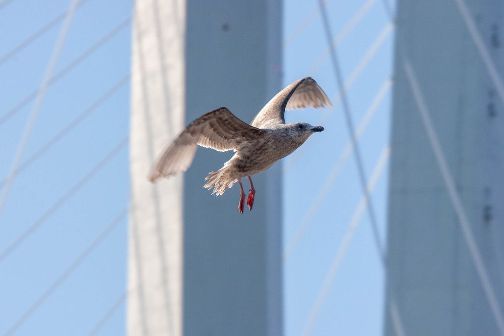 Photograph by Родион Шелупайко