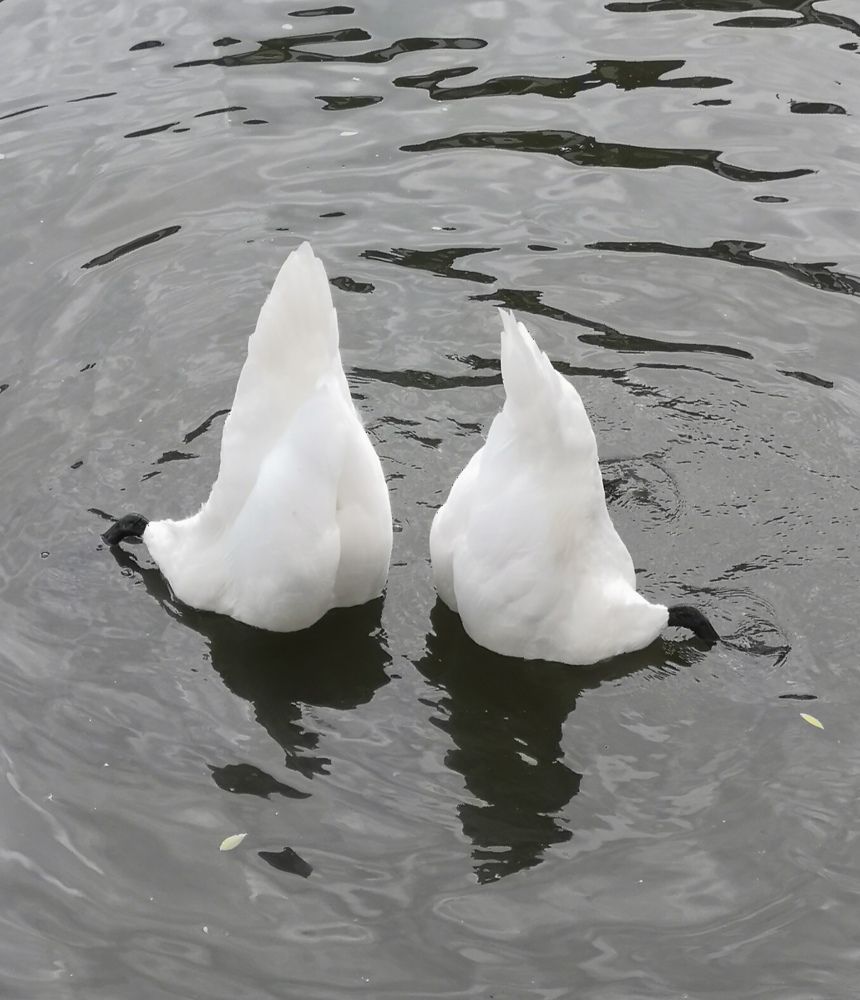 Photograph by Ольга