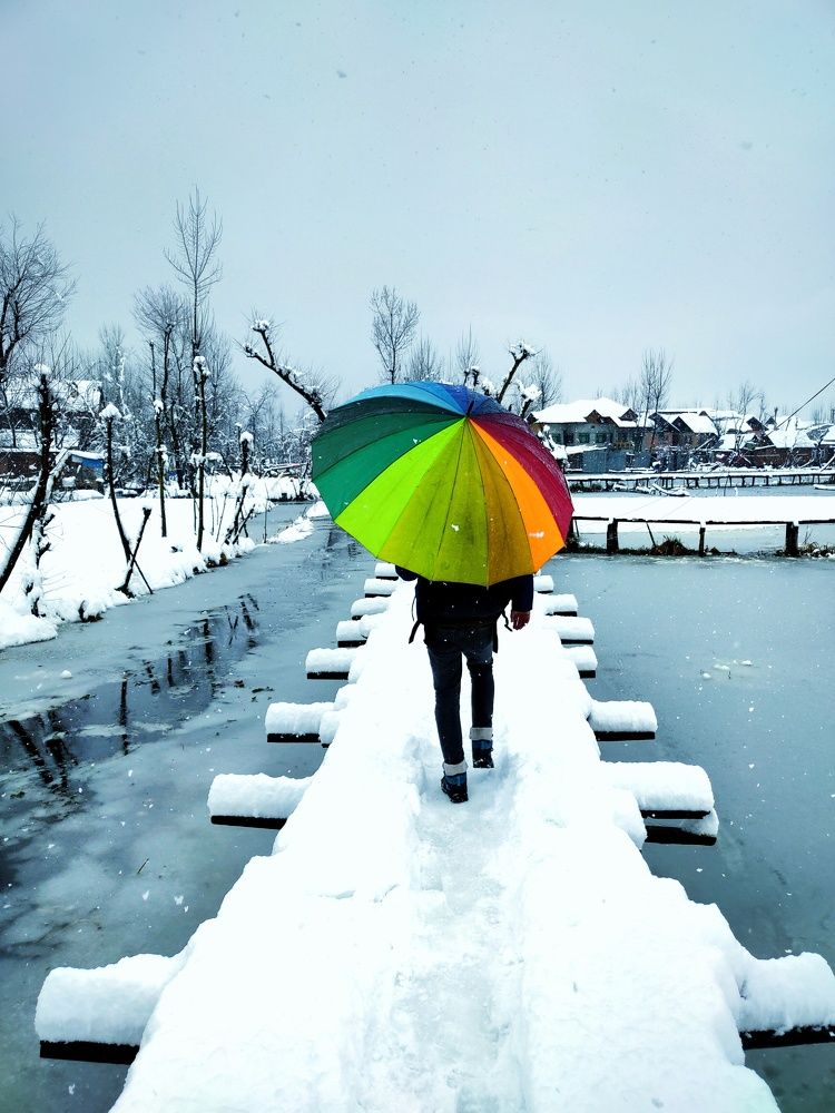 Men walking on wooden bridge