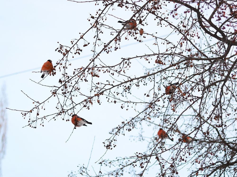 Photograph by Анастасия Власова