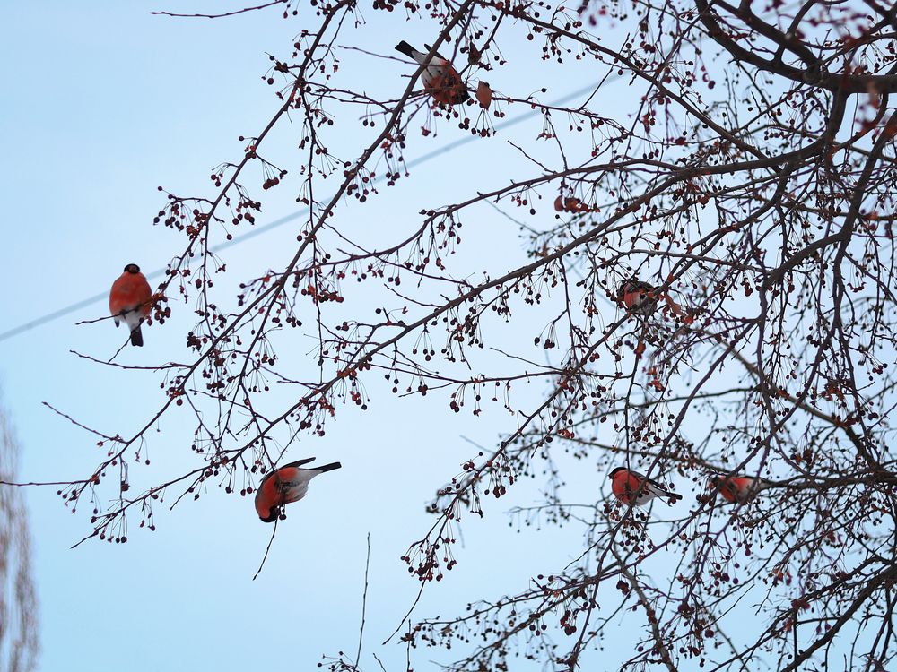 Photograph by Анастасия Власова