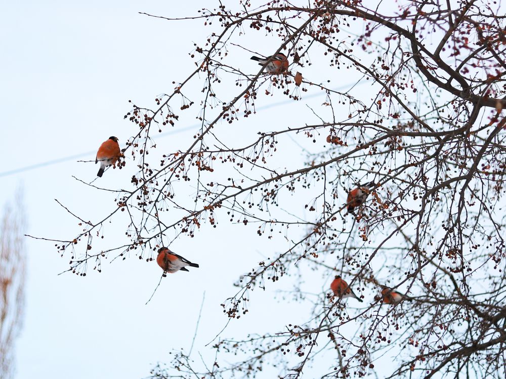 Photograph by Анастасия Власова