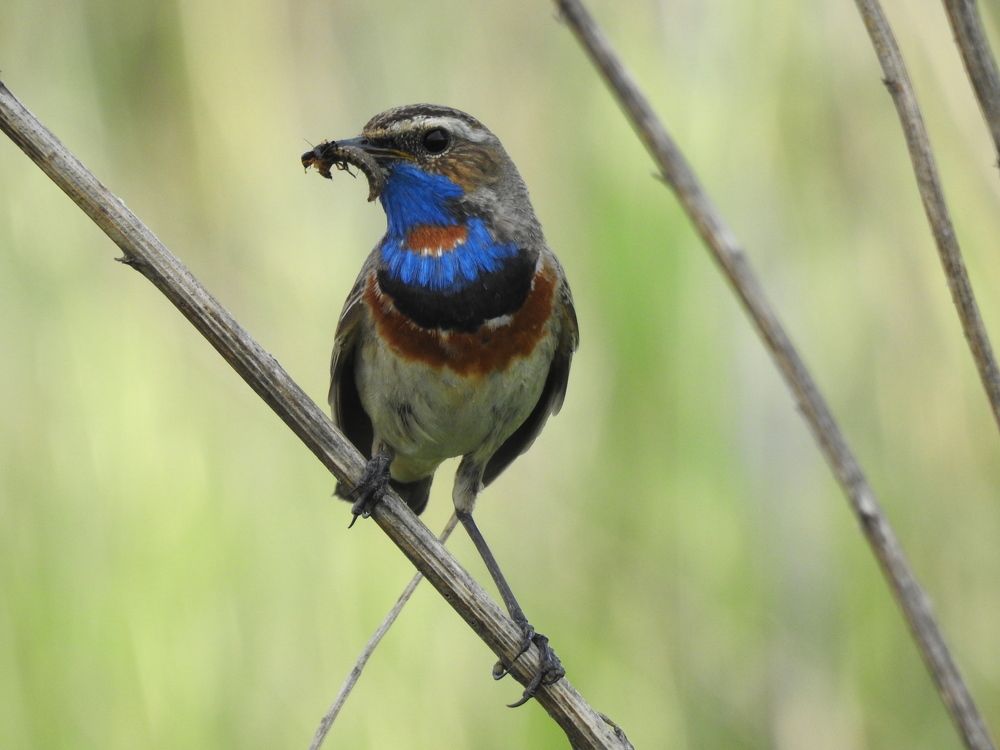 Photograph by Татьяна Калугина