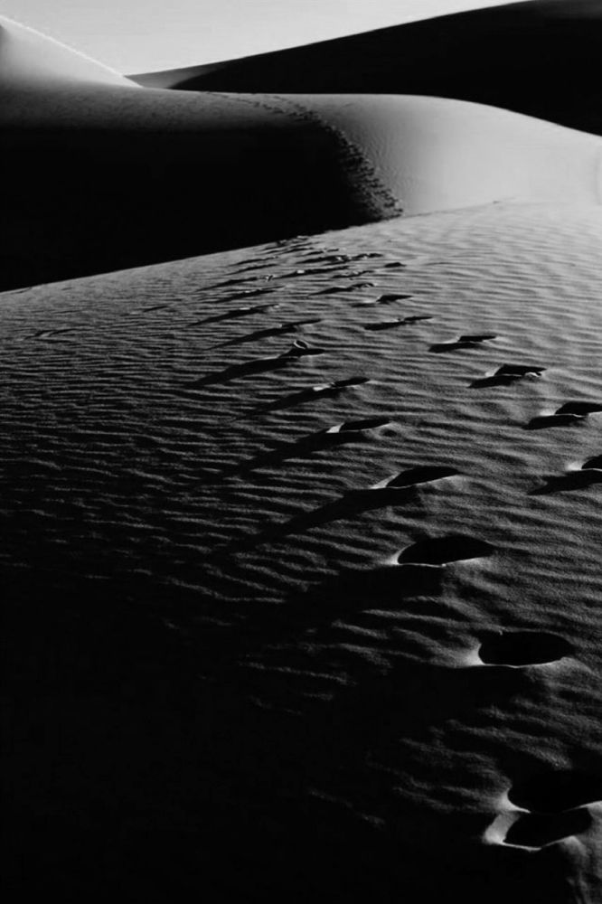 Photograph by Shaghayegh yousefi