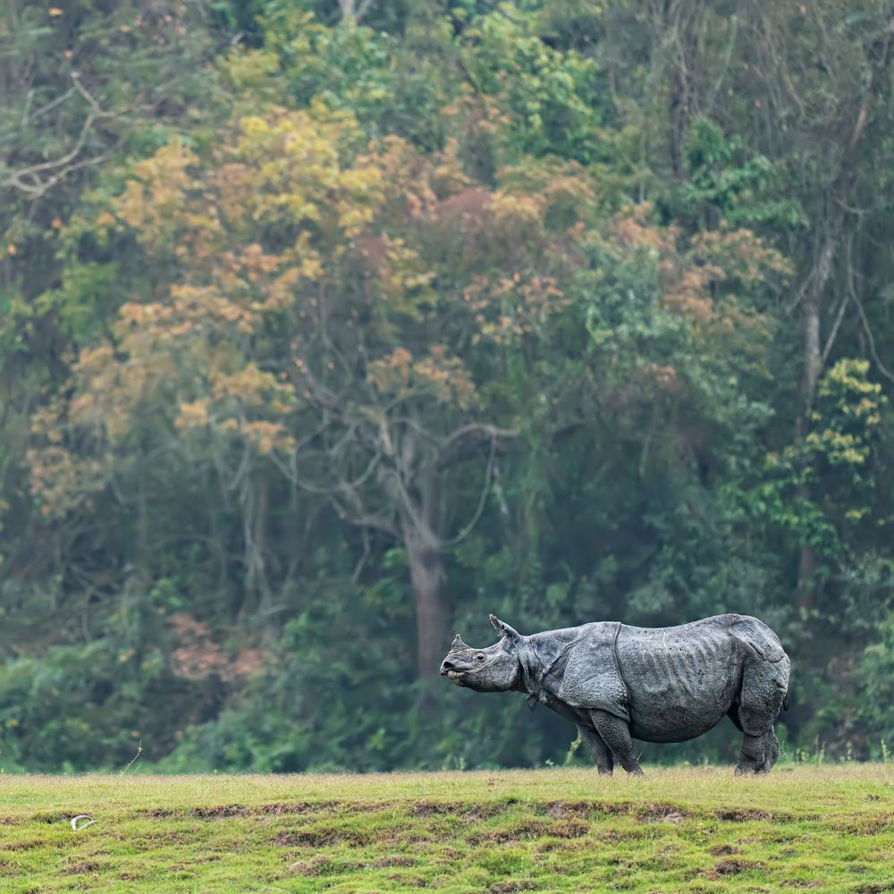 Photograph by Yogesh Bhatia
