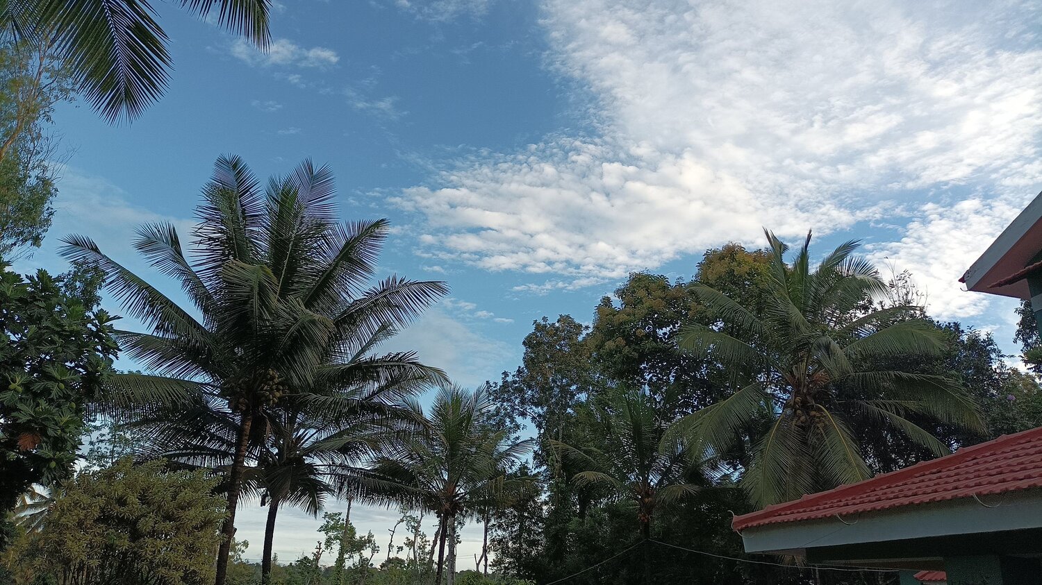 Photo #7696047