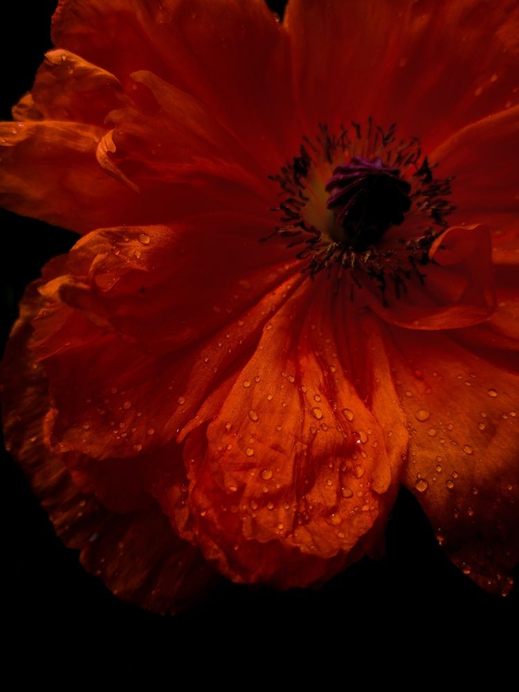 Photograph by Alexandra Skarabahatava