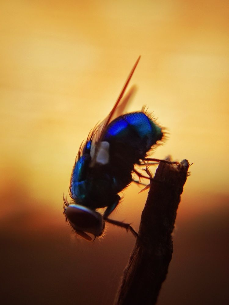 Photograph by Shakeer Mohammed