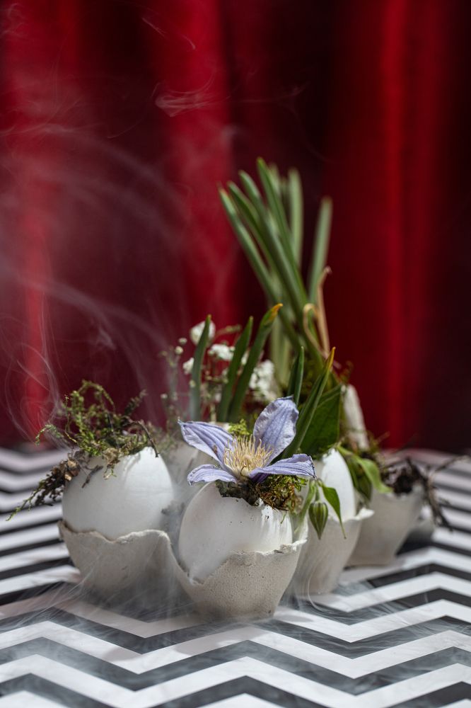 Photograph by Екатерина Деружинская