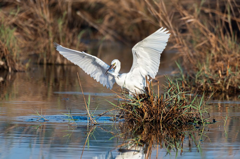 Photograph by Sunil Dhar