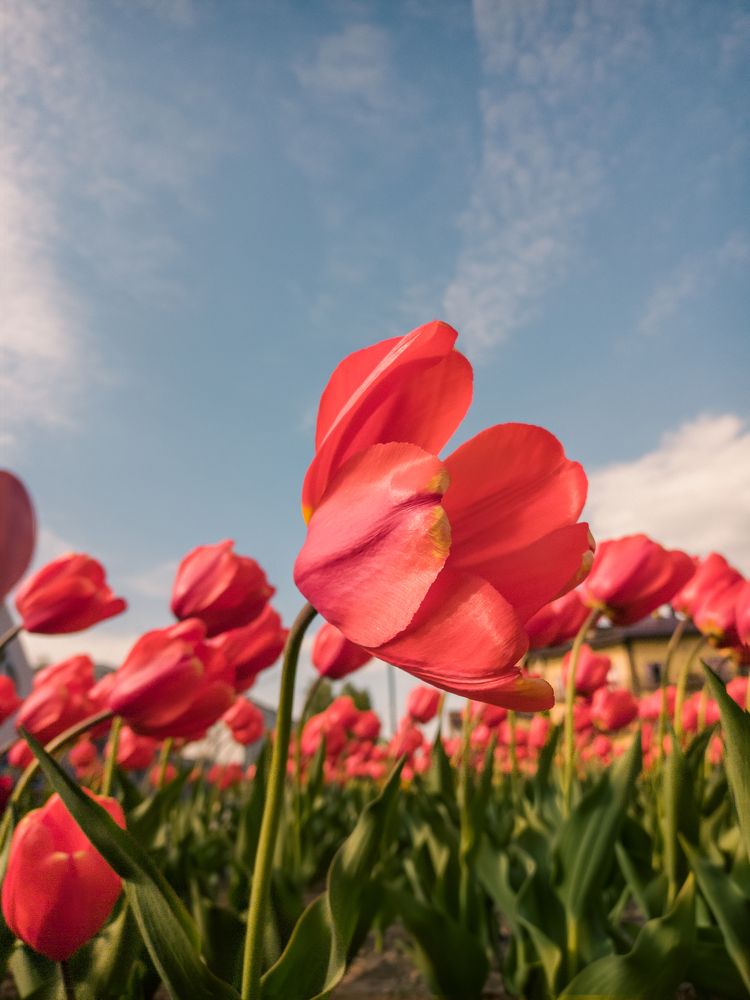 Photograph by Стас