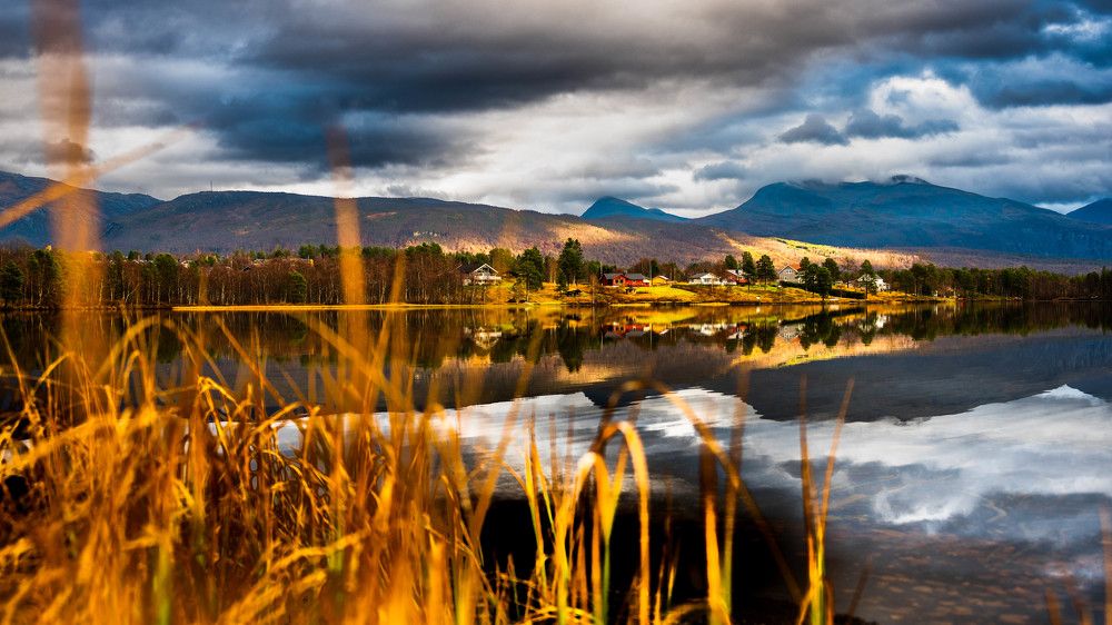 Photograph by Mahmud Tareq Hassan Khan