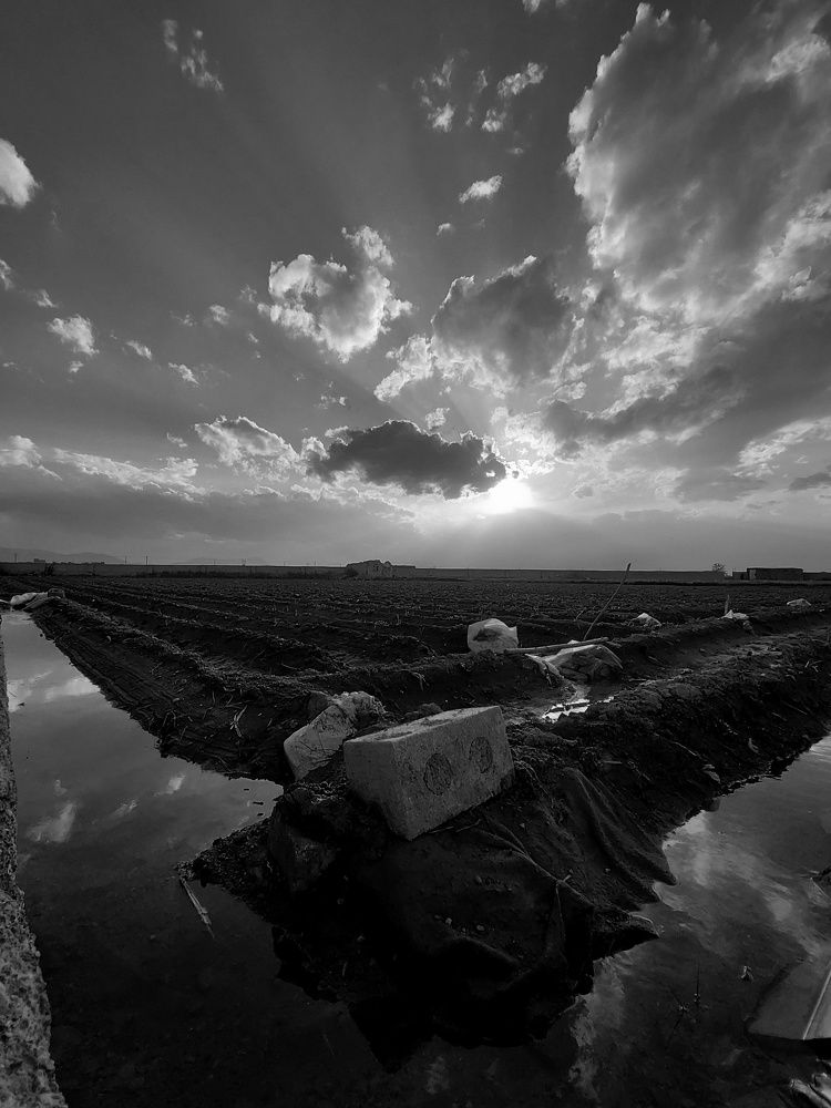 Photograph by Hossein Jafari