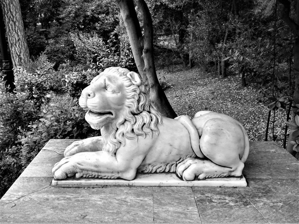 Photograph by Людмила Ковалевская